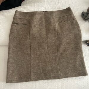 Ann Taylor skirt